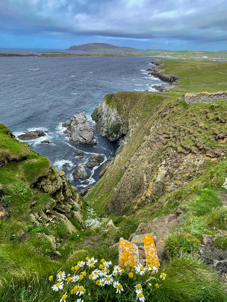 Shetland Cliffs