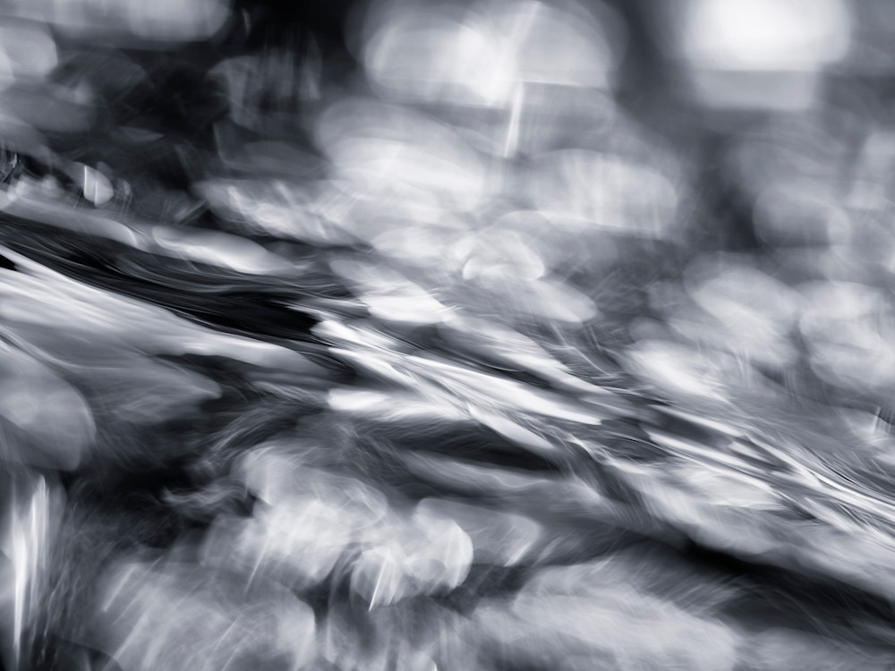 John E. Kelly Fine Art Photography – Feathered – Reflection