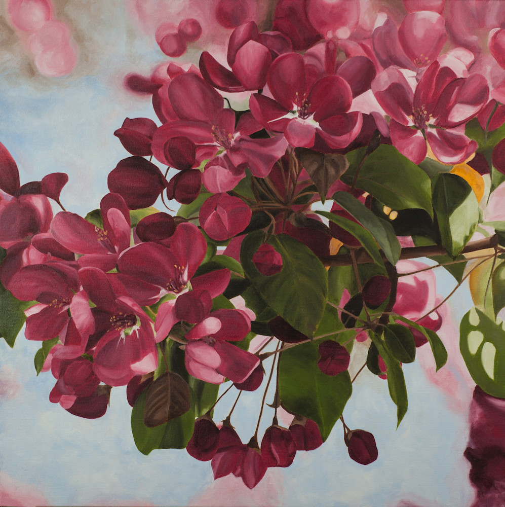 Blooming Art | Brenda Stonehouse Fine Art