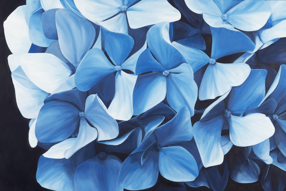Endless Summer Art | Brenda Stonehouse Fine Art