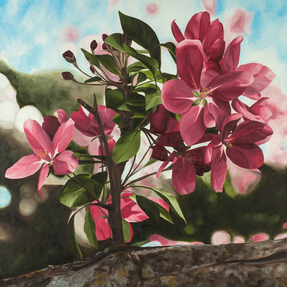 Fragrant Spring Art | Brenda Stonehouse Fine Art