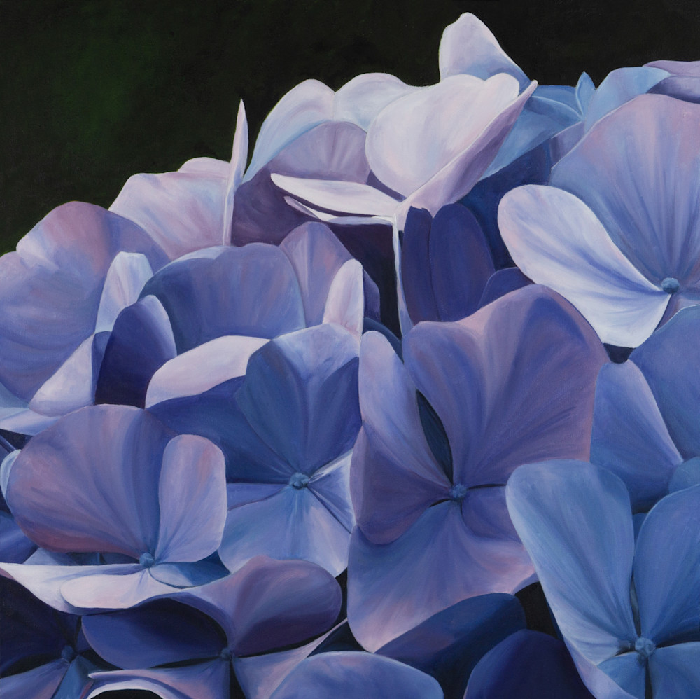 Violet Dream Art | Brenda Stonehouse Fine Art