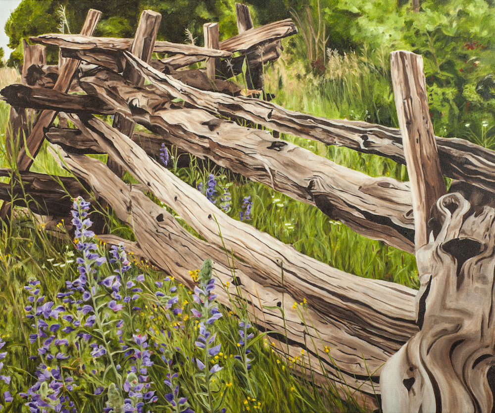 Split Rail Fence Art | Brenda Stonehouse Fine Art