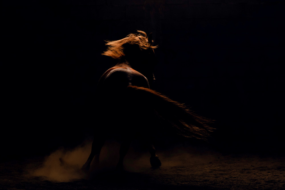 Bailarin Art | Karen Broemmelsick Photography and Art