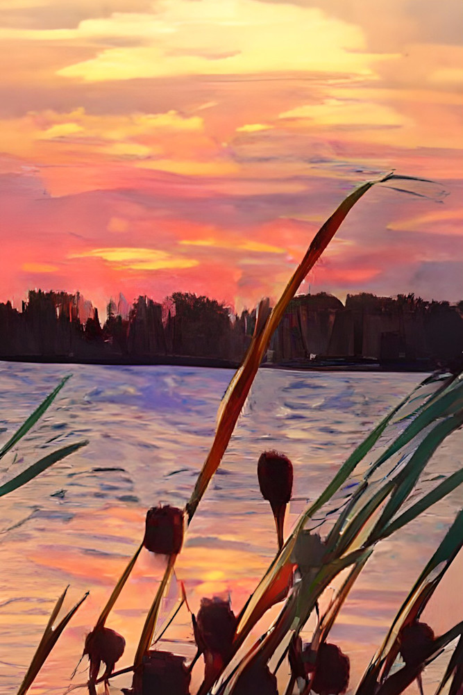 Cattails Along the Lake at Sunset