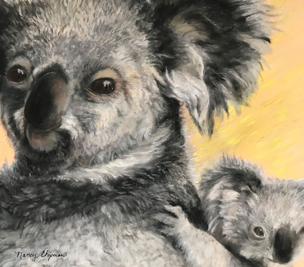 Cute Koala And Baby Art | nancychipman
