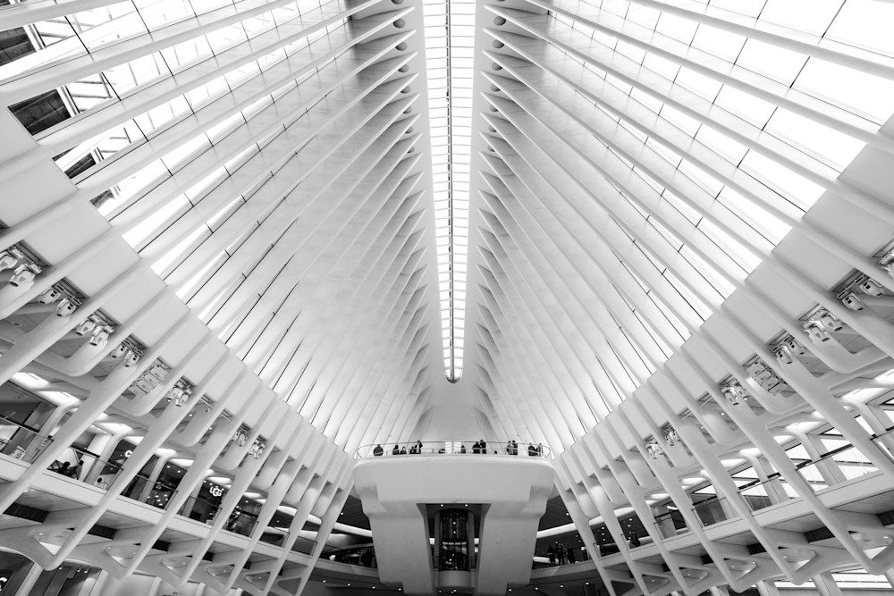 Oculus Photography Art | ng photography