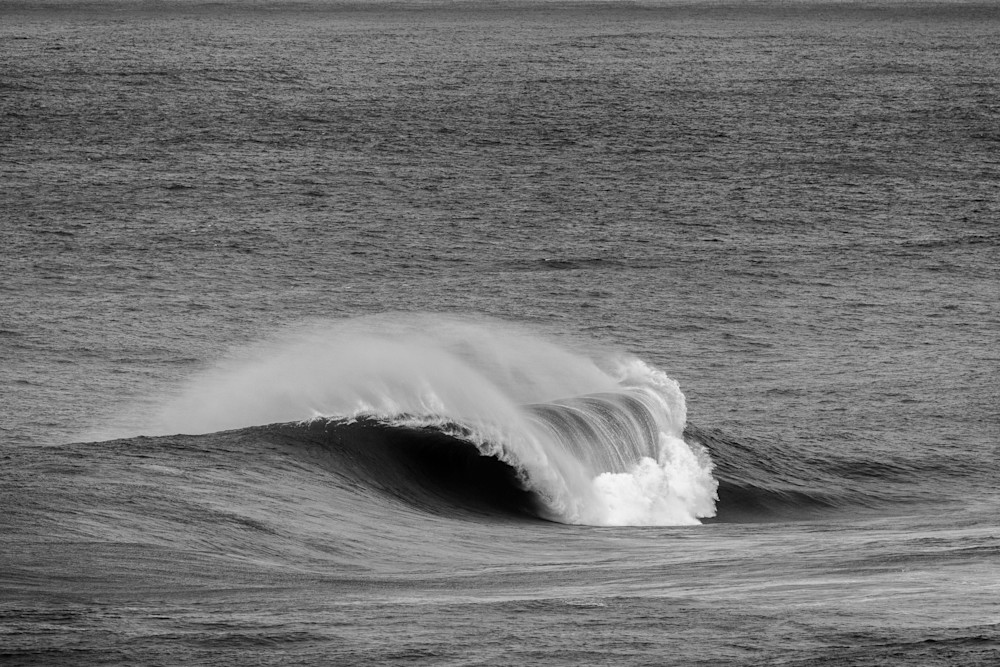 Seclusion Photography Art | Ricca Studios LLC