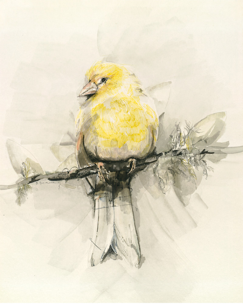  Yellow Bird (1984) Art | betsynaumchik