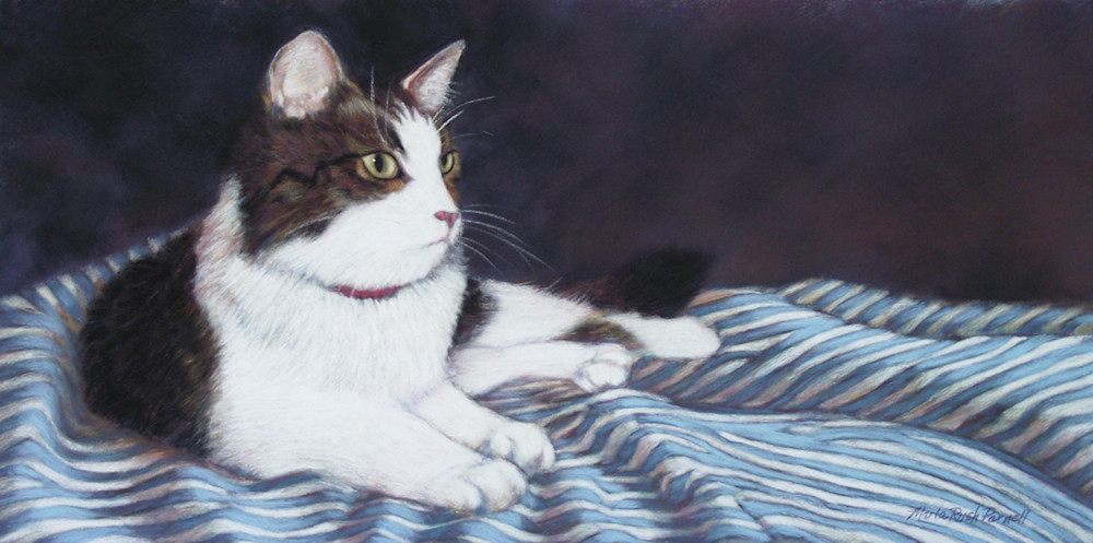 Striped Cat Art | Parnell Studios
