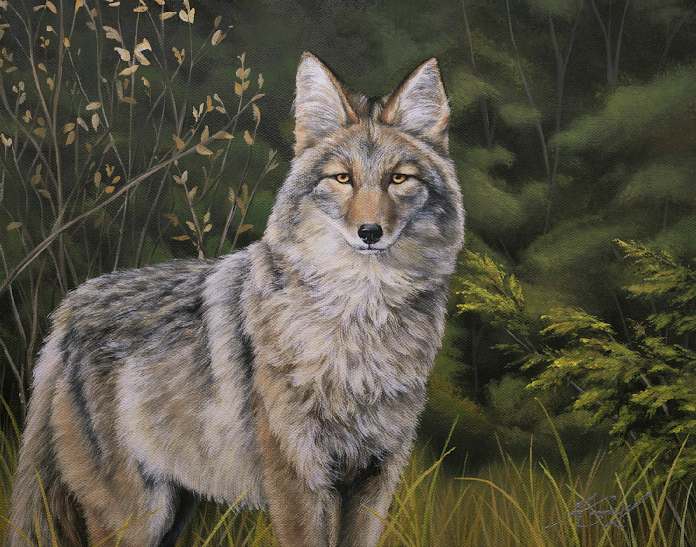 Not Big, Not Bad, Not a Wolf | The Spirit of Trees Fine Art