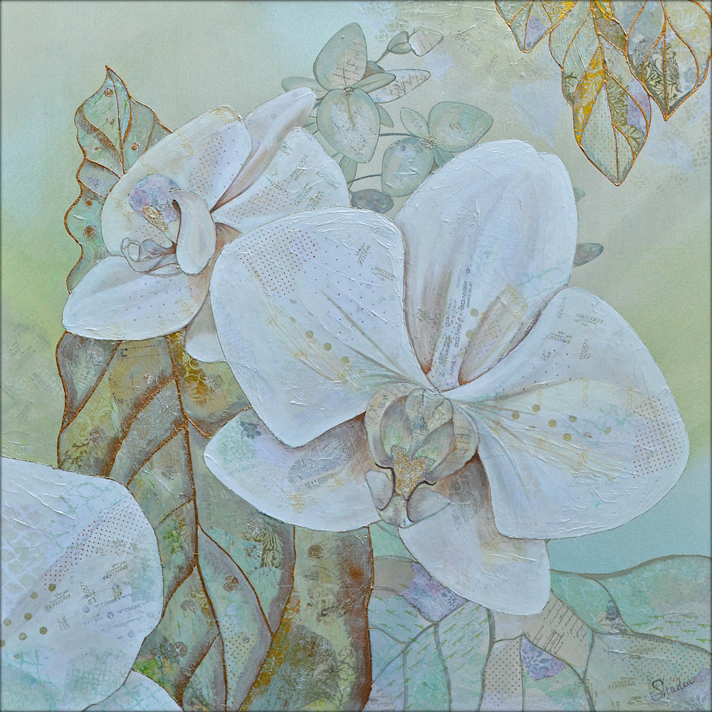 Orchids In White