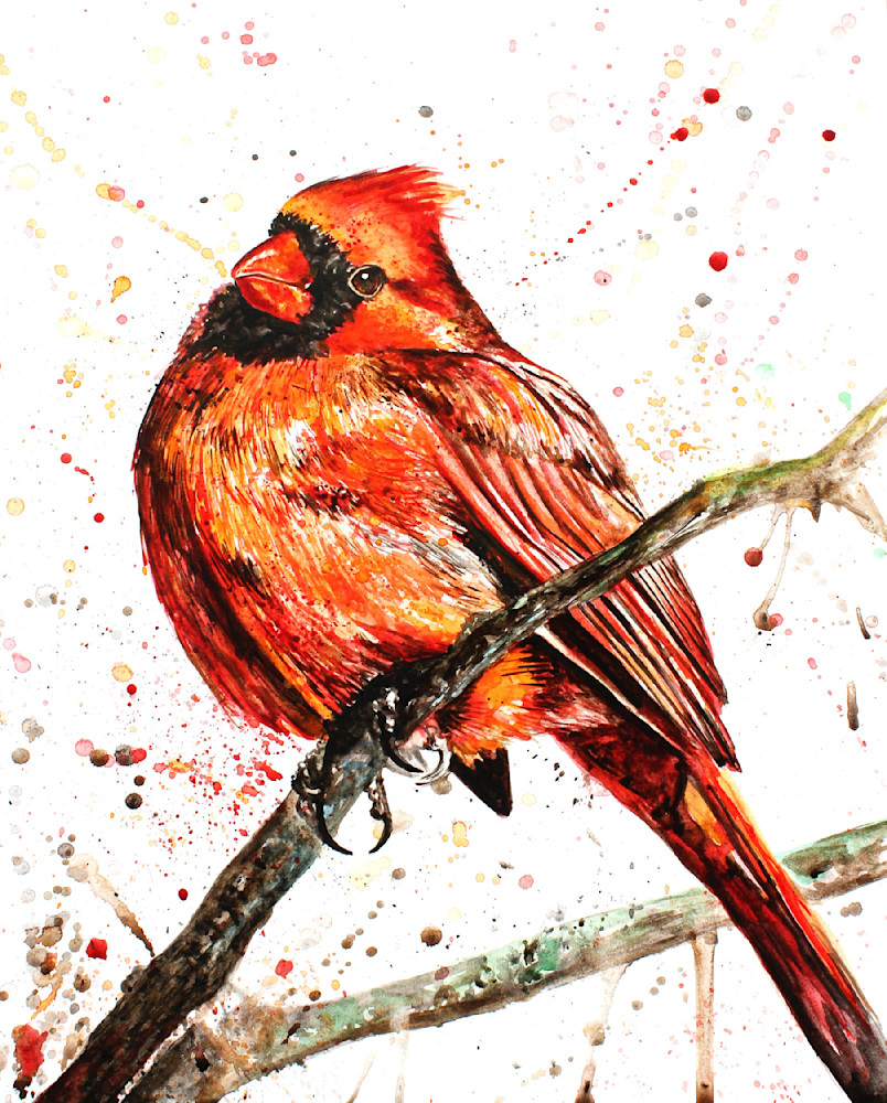 Animal Prints - Cordial Cardinal