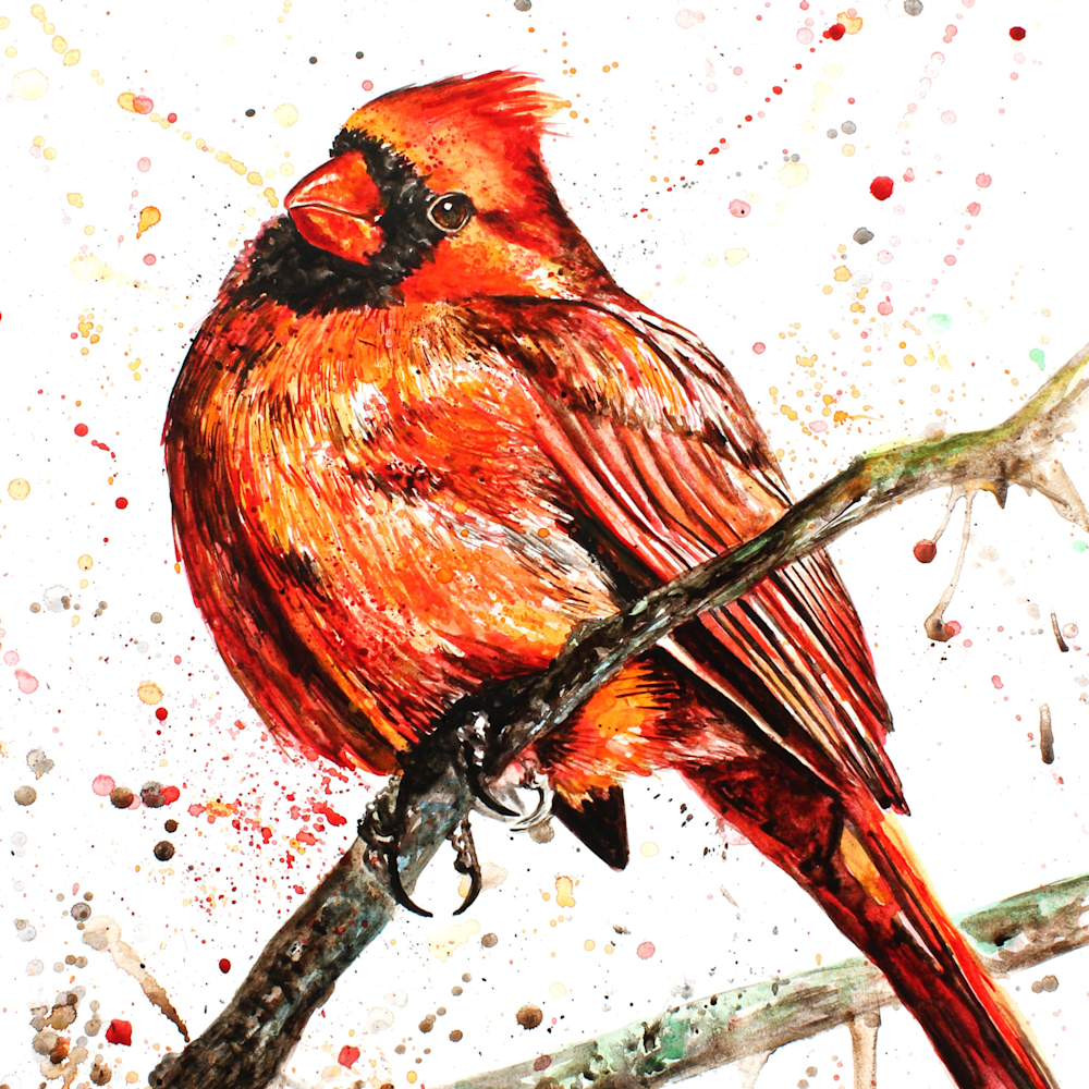 Totes - Cordial Cardinal