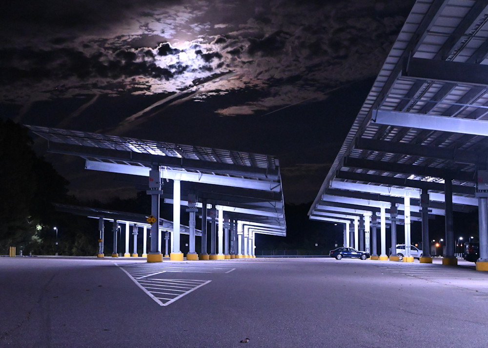 Moonlight Rising