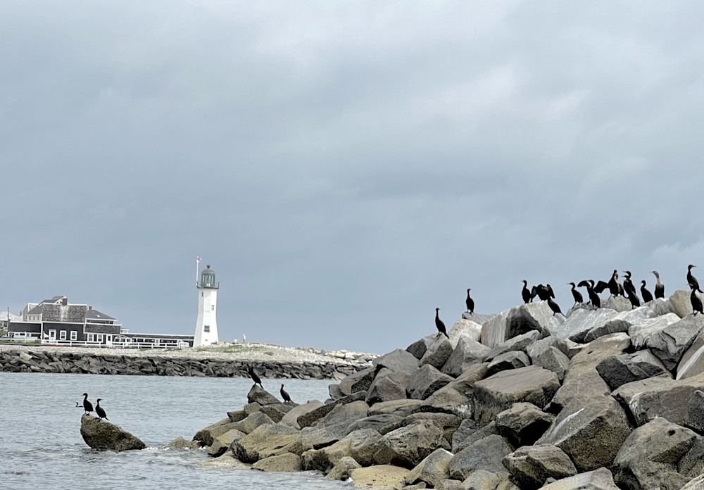 Scituate Light Photography Art | barbaracanney