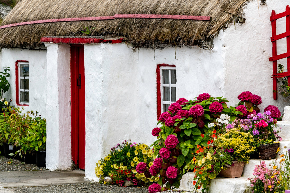Traditional Irish house red
