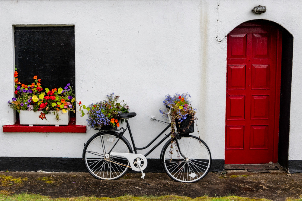 Flower bike red door