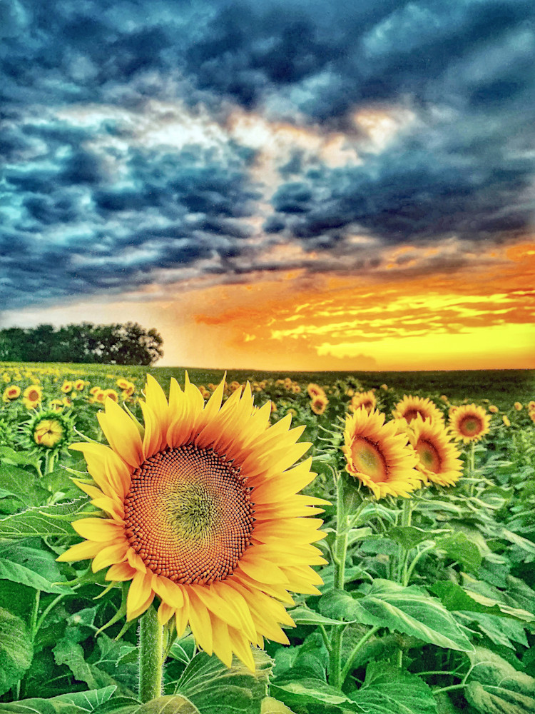 Glory To The Sunset Photography Art | Kirkwood Kreations Photography