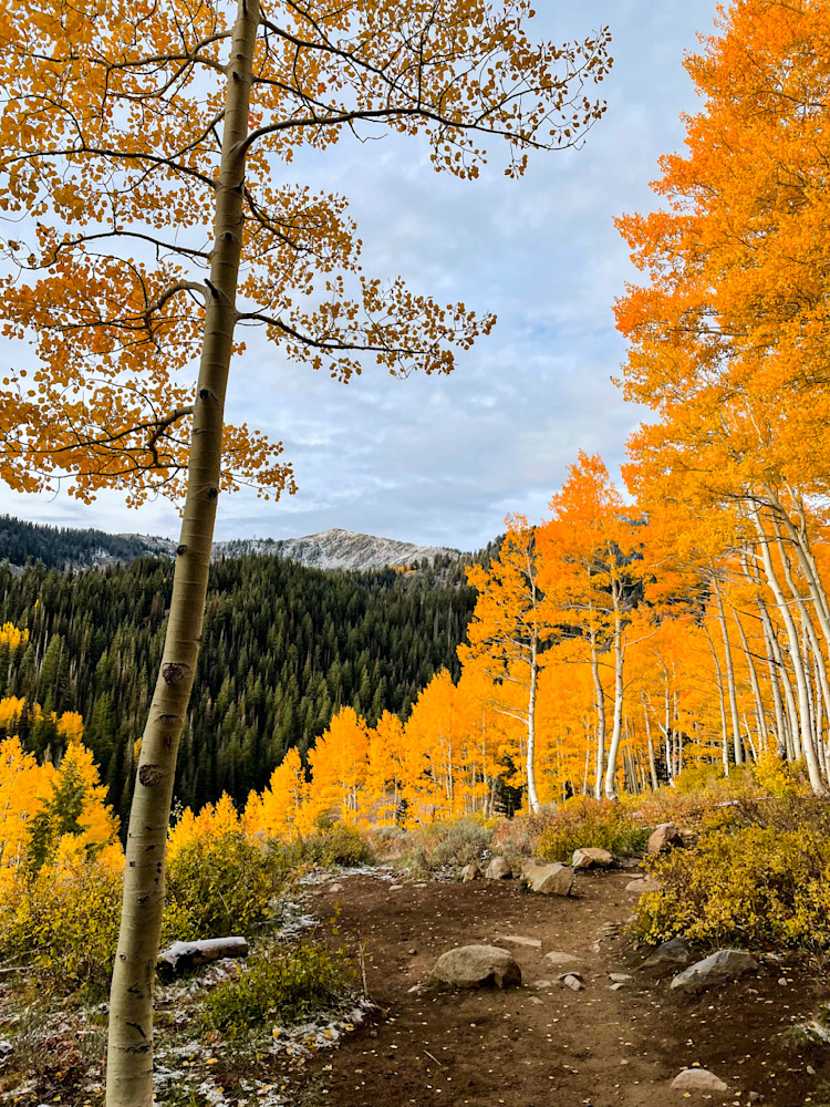 Neon Fall Photography Art | Filmscene Photography