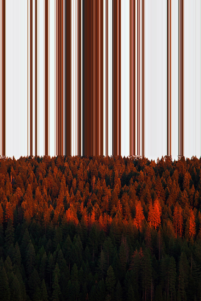Trees - Glitch art