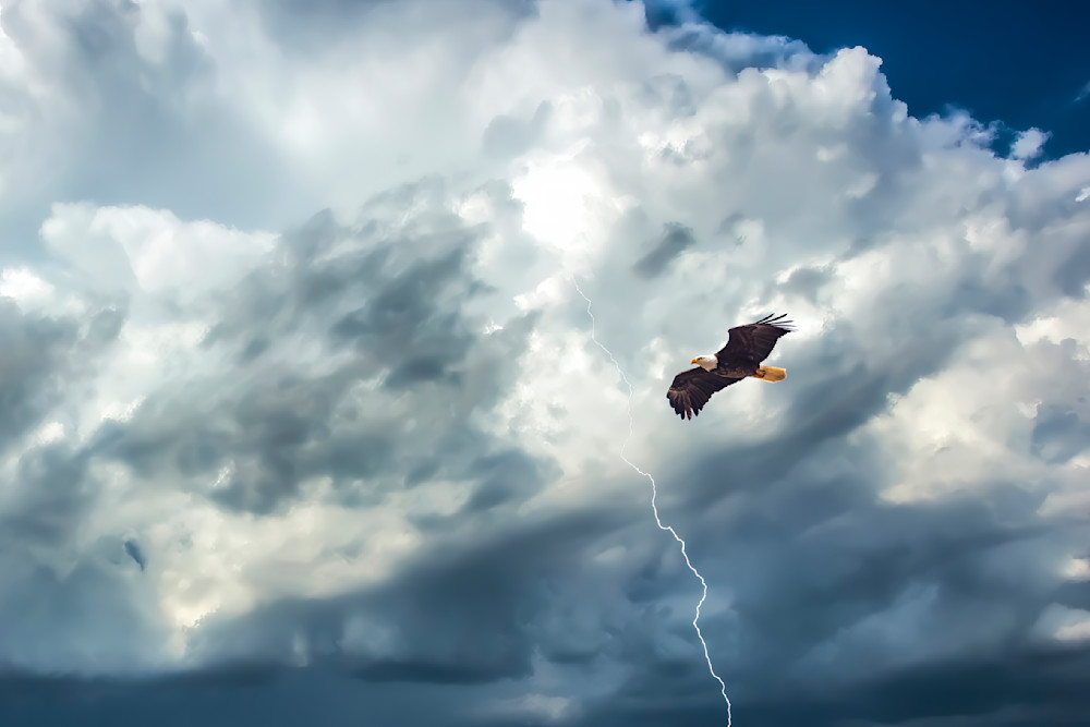Lightning Eagle Logo Wallpaper