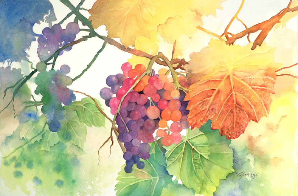 Rainbow Fruit Art | Gina Lijoi Fine Art