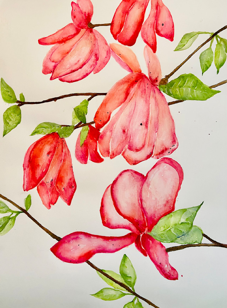 Springtime Magnolias Art | Sherry Harradence Artist