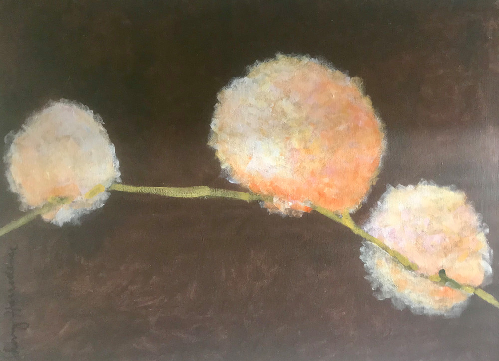 Cotton Branch Series 1 Art | Sherry Harradence Artist