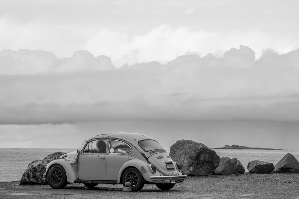 Black And White Bug At Beach Photography Art | Kyle Shepard Photography