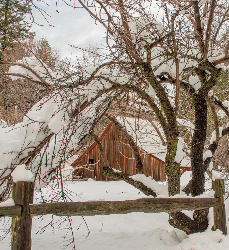Foresthill Winter Photography Art | Webster Gallery