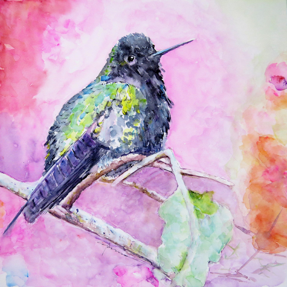 Hummingbird Watercolor Print | Claudia Hafner Watercolor
