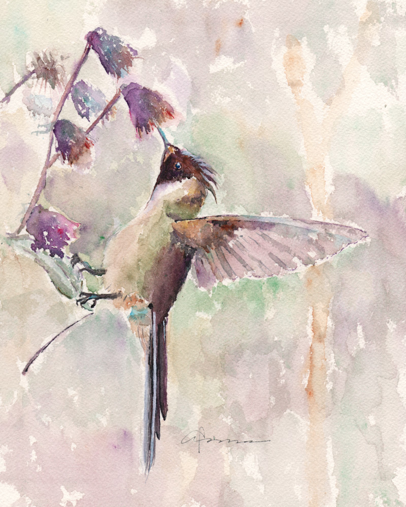 Hummingbird in Soft Hues Watercolor Print | Claudia Hafner Watercolor
