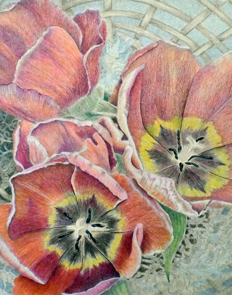 Cindy Rhodes   Miss Suzies Tulips Art | Cindy Rhodes