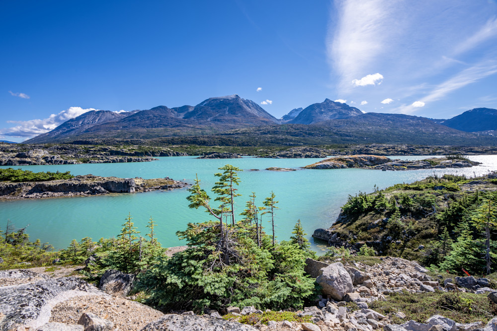 Into The Yukon Photography Art | Amber Favorite Photography