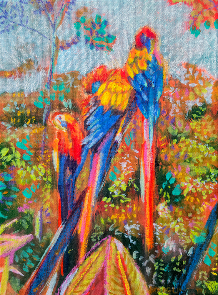 Preening Parrots Of La Paz   Study Art | Mad World Art Ltd. Co.