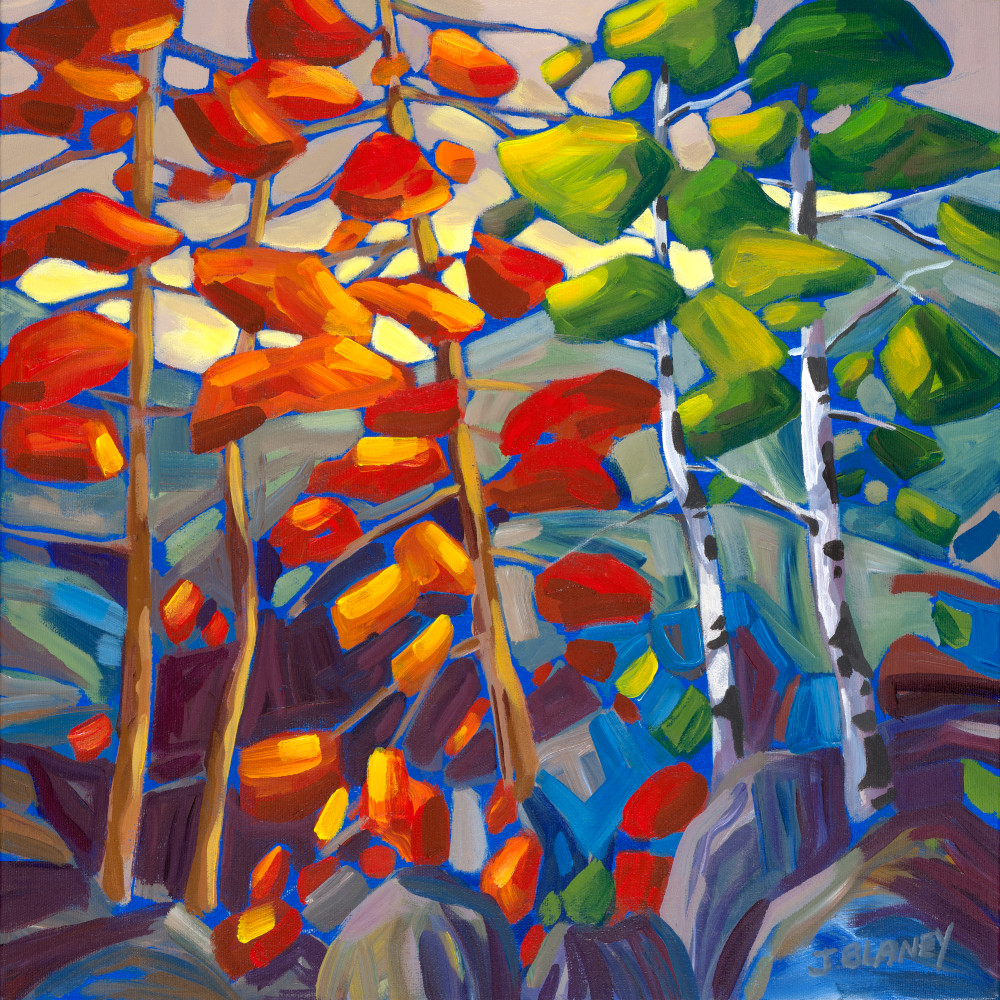 Canopy Of Light Print Art | Jodie Blaney Fine Art