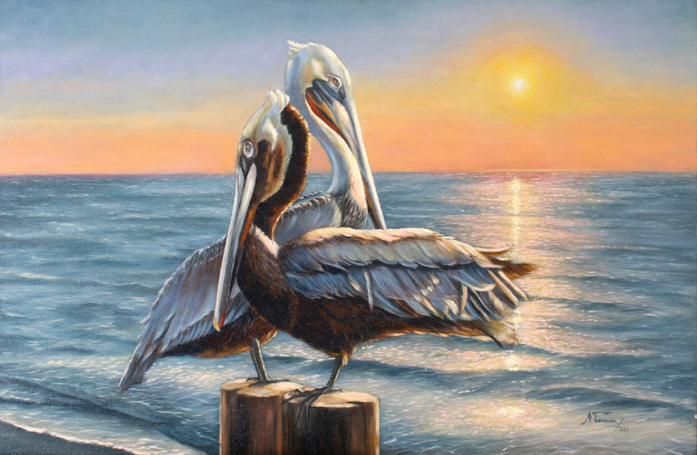 Pelicans Art | Mariya Tumanova ART