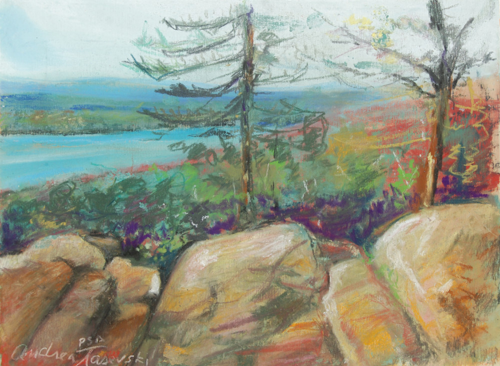 Adirondack Mountain Top Art Andrea Tasevski Fine Art