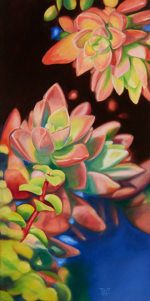 Succulents 4 Art | Dawn Taft