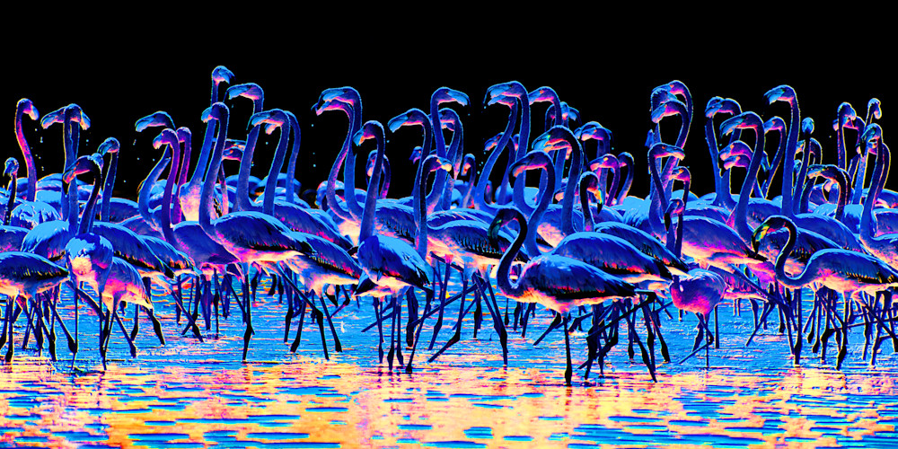 "Electric Blues" - Celestun, MX - Renee Sullivan Photography - Fine Art Prints
