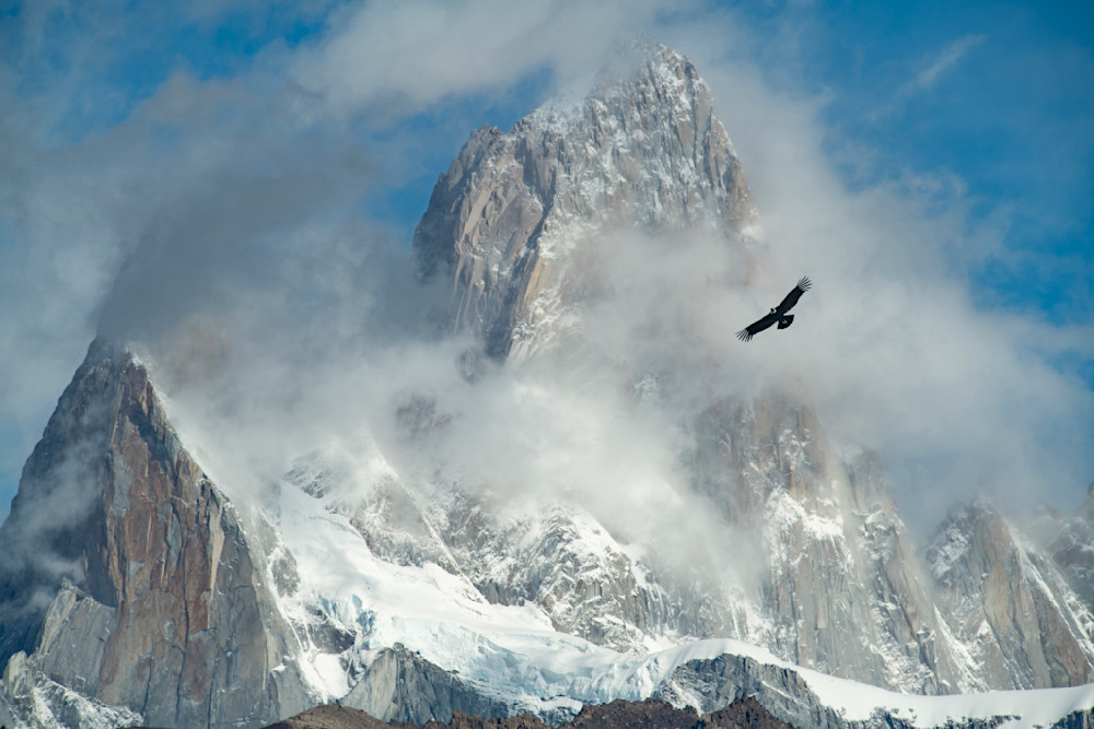 Flight of the Condor #1