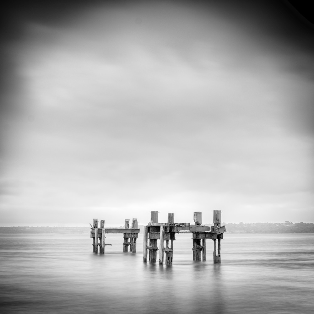 The Dolphins At Lepe Study5 Art | Roy Fraser Photographer