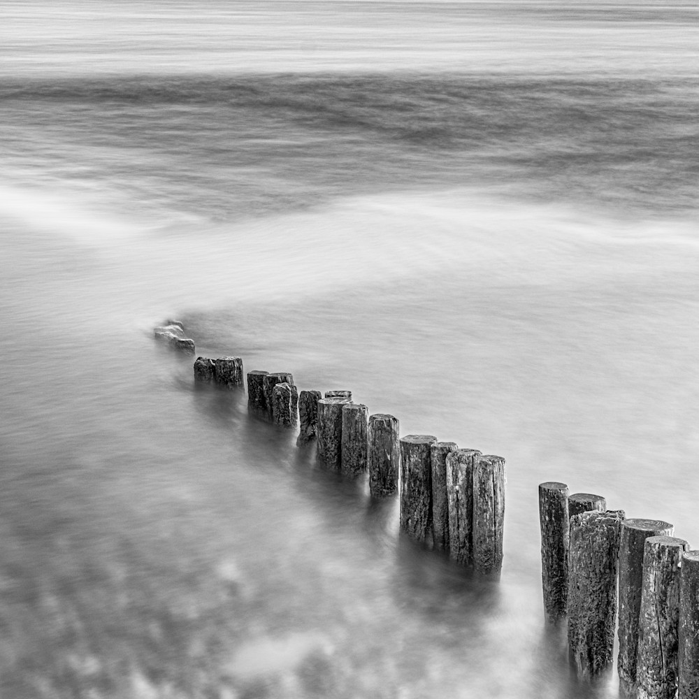 The Dolphins At Lepe Study10 Art | Roy Fraser Photographer