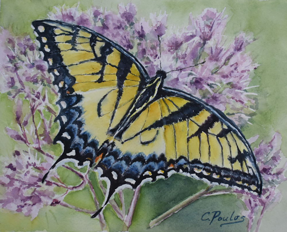 Eastern Swallowtail Butterfly Tote Art | Cathy Poulos Art