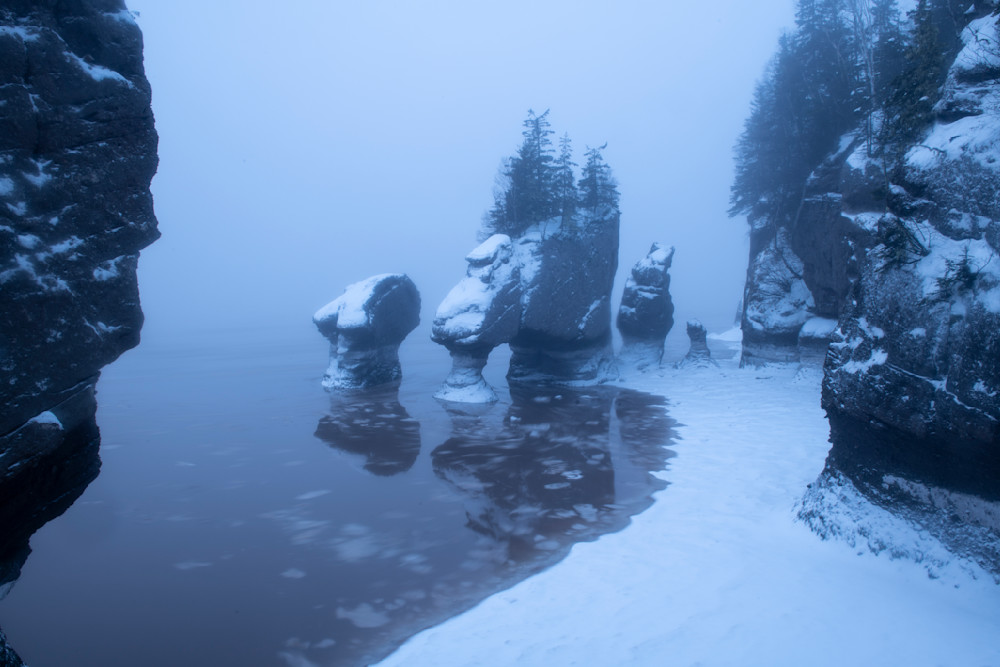 Hopewell Rocks and Frozen Shores #2