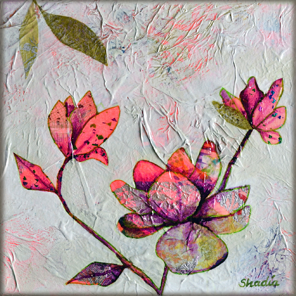 Hidden Magnolias II