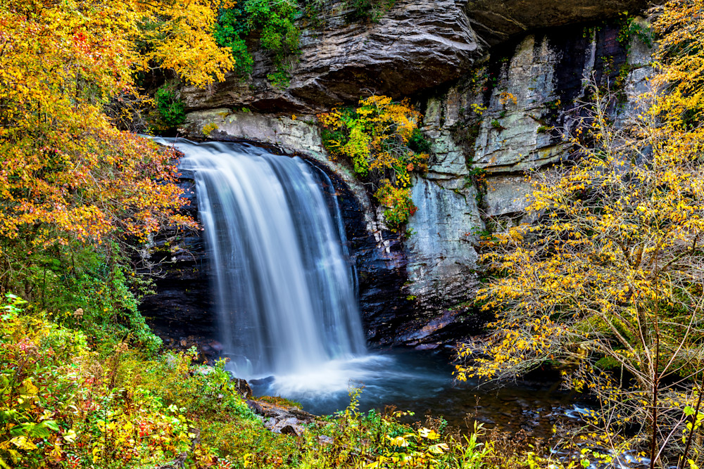 Autumn at Looking Glass Falls
