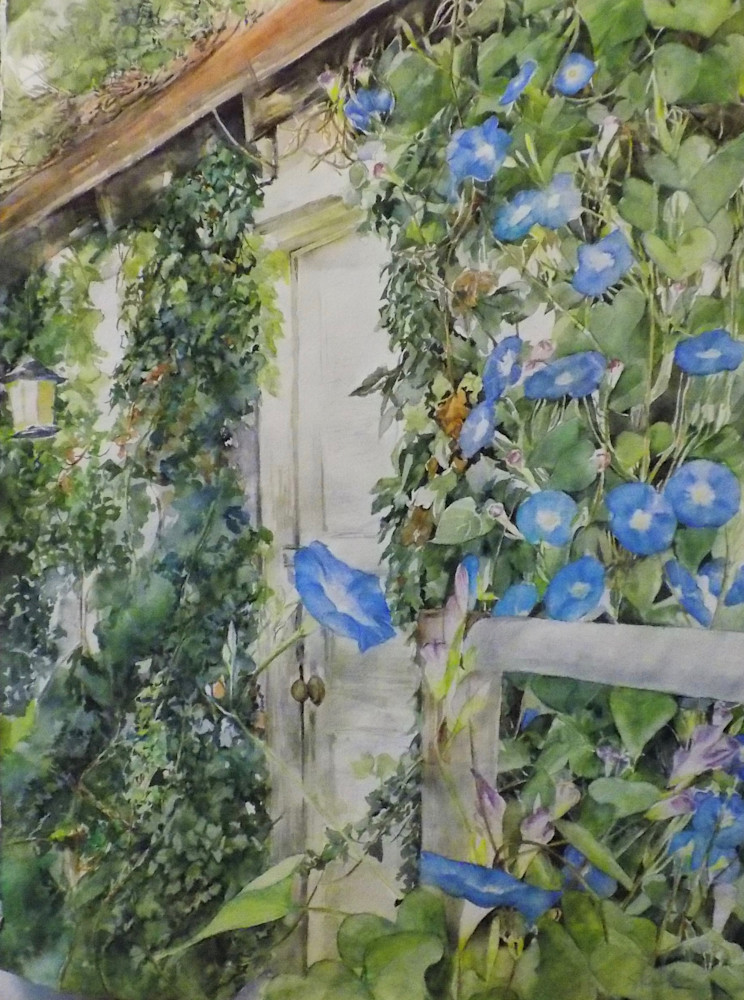Morning Glories Against The Shed Art | https://www.instagram.com/janeskafte/