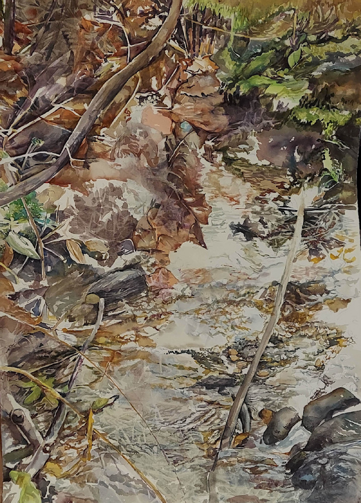 Shallow Stream Art | https://www.instagram.com/janeskafte/